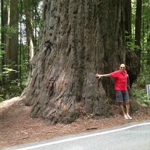 Meet your Posher, Ararat